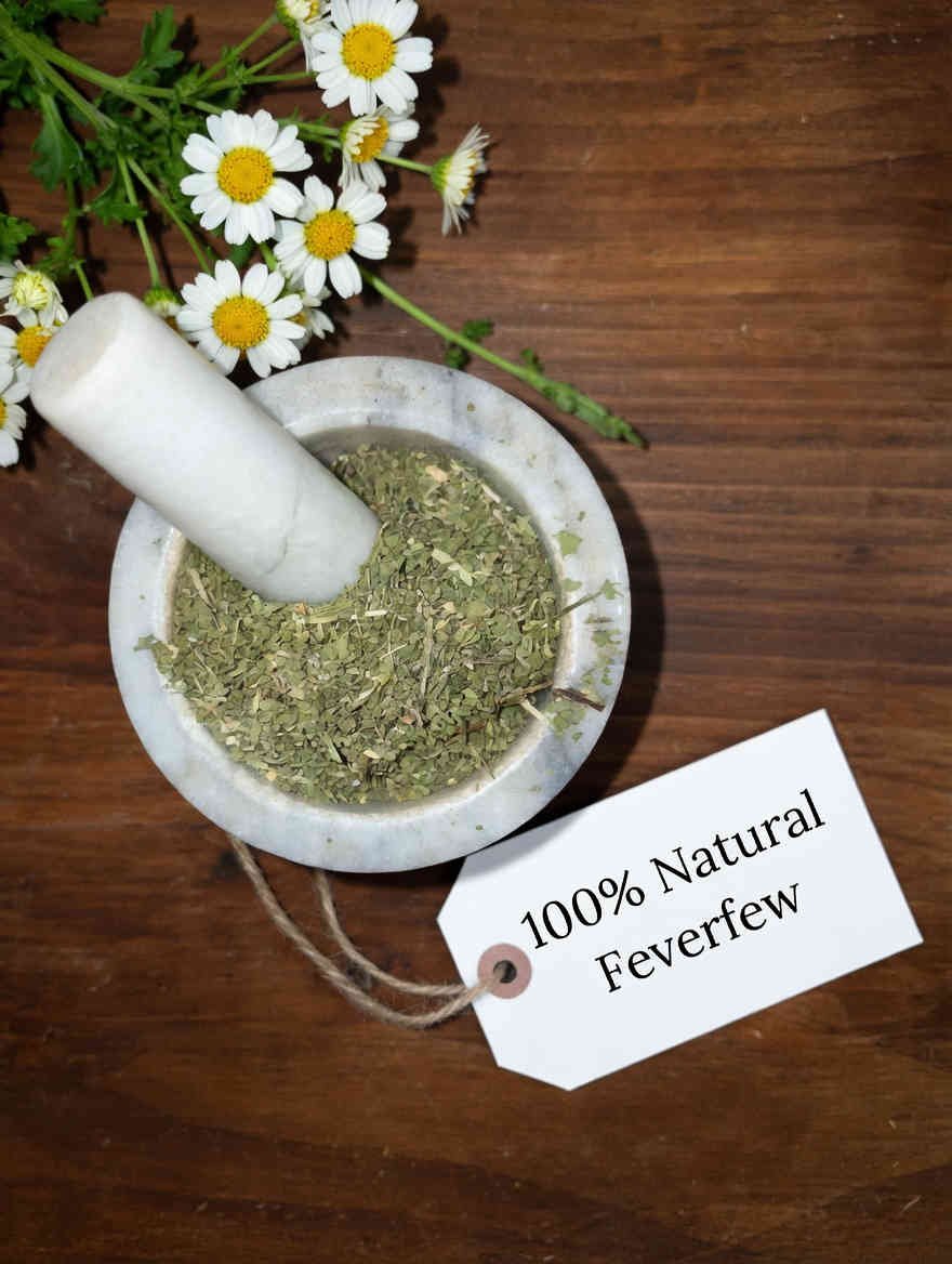 Feverfew herb cut and sifted, organic, in a mortar and pestle with Tanacetum parthenium plant - The Herb Peddler