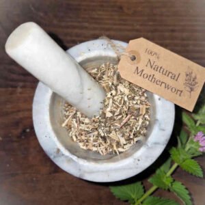 Motherwort herb cut and sifted, wild crafted, in a mortar and pestle with Leonurus cardiaca plant - The Herb Peddler