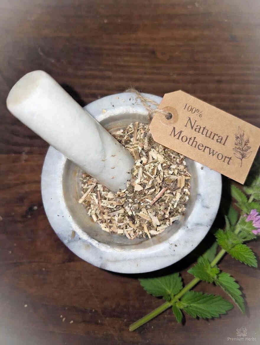 Motherwort herb cut and sifted, wild crafted, in a mortar and pestle with Leonurus cardiaca plant - The Herb Peddler