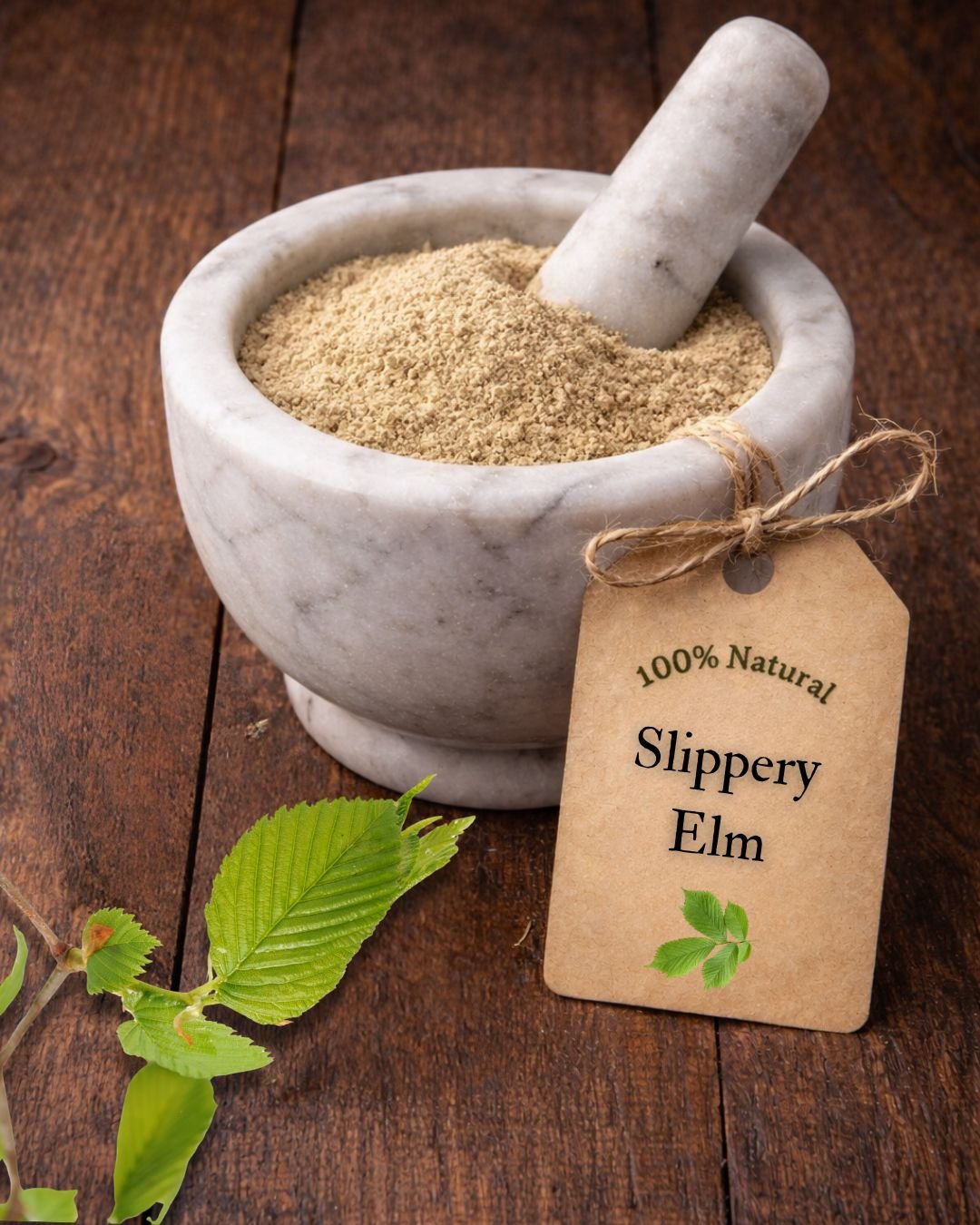Slippery Elm bark in a mortar and pestle with Ulmus rubra tree background - The Herb Peddler