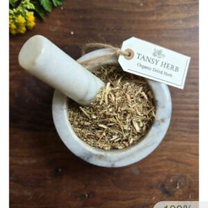 Tansy herb cut and sifted, wild crafted, in a mortar and pestle with Tanacetum vulgare plant - The Herb Peddler