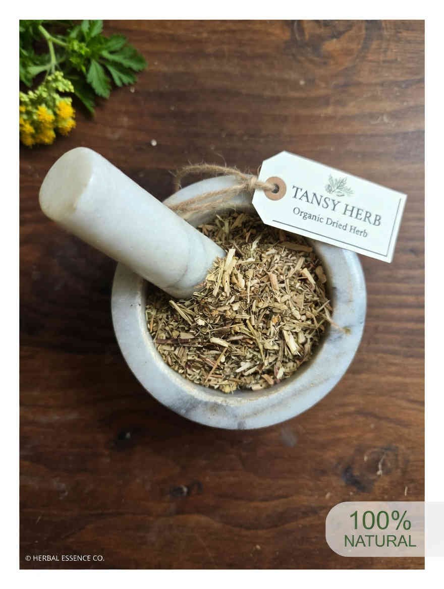 Tansy herb cut and sifted, wild crafted, in a mortar and pestle with Tanacetum vulgare plant - The Herb Peddler