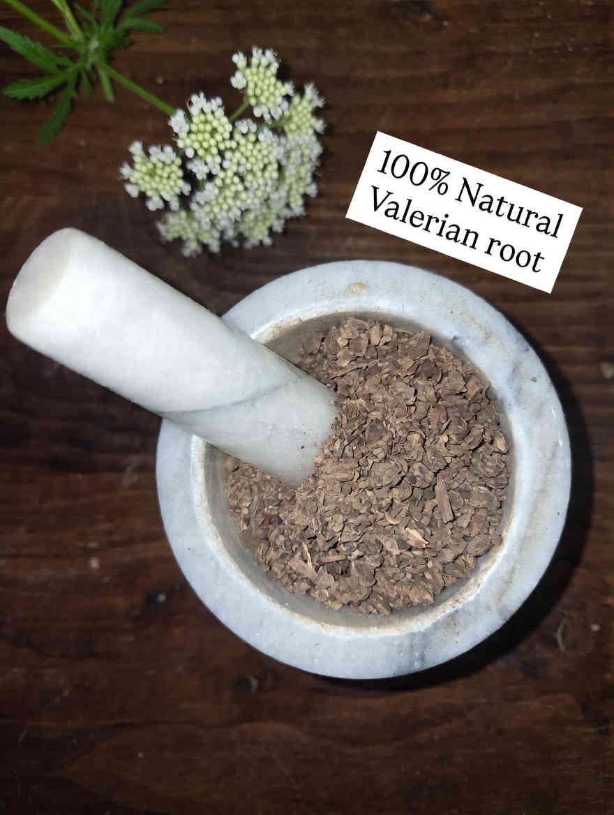 Valerian root cut and sifted in a mortar and pestle with Valeriana officinalis plant background - The Herb Peddler