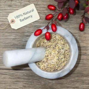 Barberry root in a mortar and pestle with Berberis vulgaris plant background - The Herb Peddler