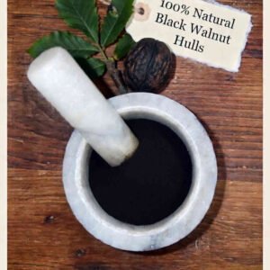 Black Walnut hulls in a mortar and pestle with Juglans nigra background - The Herb Peddler