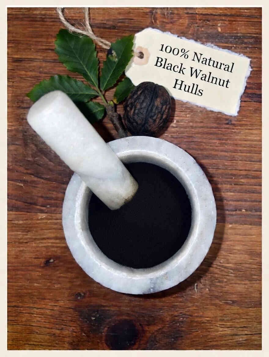 Black Walnut hulls in a mortar and pestle with Juglans nigra background - The Herb Peddler