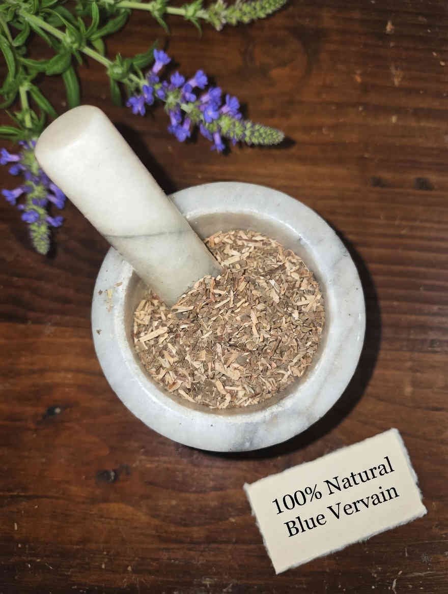 Blue Vervain dried herb in a mortar and pestle with Verbena hastata plant background - The Herb Peddler