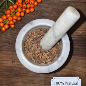 Buckthorn bark in a mortar and pestle with Rhamnus frangula plant background - The Herb Peddler