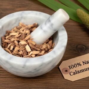 Calamus root in a mortar and pestle with Acorus calamus plant background - The Herb Peddler