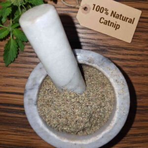 Catnip dried herb in a mortar and pestle with Nepeta cataria plant background - The Herb Peddler