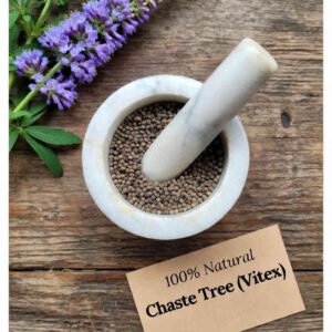 Chaste Tree (Vitex) berries in a mortar and pestle with Vitex agnus-castus plant background - The Herb Peddler
