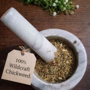 Chickweed dried herb in a mortar and pestle with Stellaria media plant background - The Herb Peddler