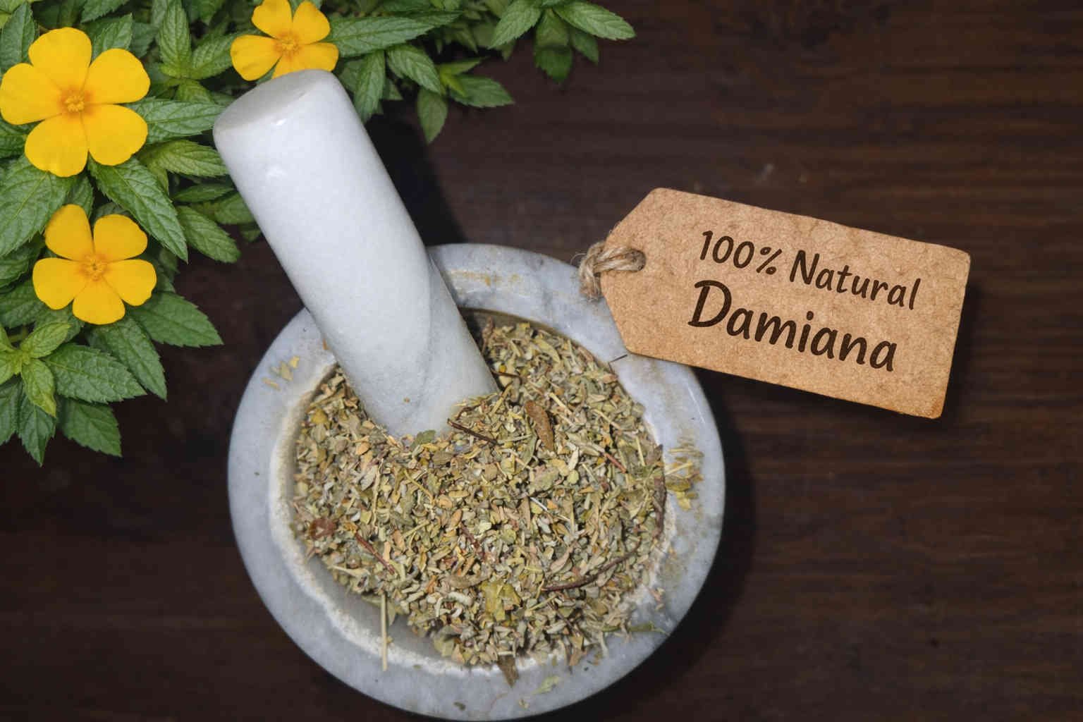 Damiana leaf dried in a mortar and pestle with Turnera diffusa plant - The Herb Peddler