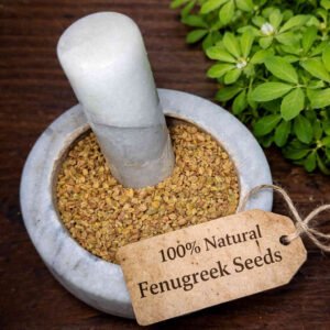 Fenugreek seeds whole, in a mortar and pestle with Trigonella foenum-graecum plant - The Herb Peddler