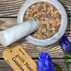 Gentian root in a mortar and pestle with Gentiana lutea plant background - The Herb Peddler