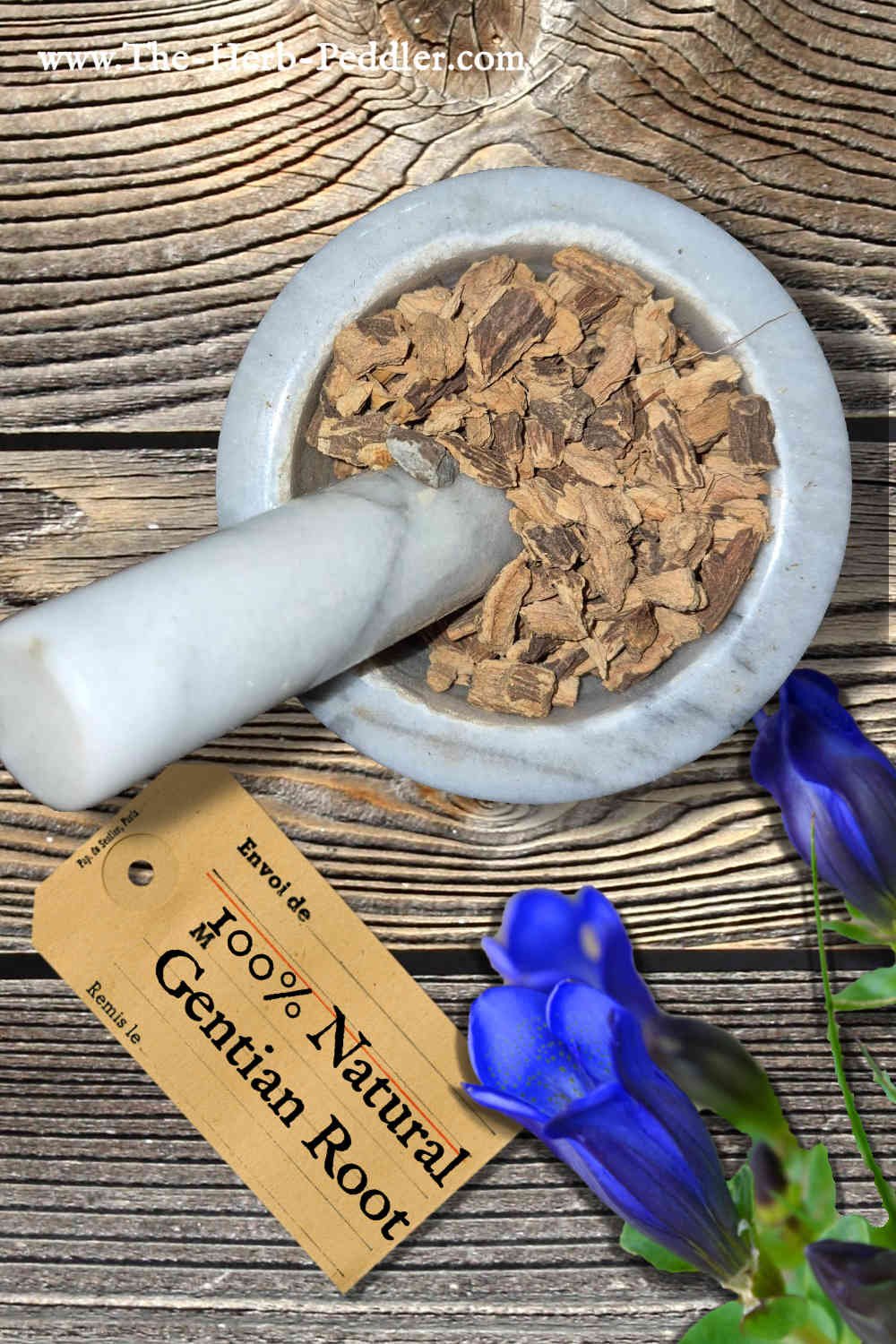 Gentian root in a mortar and pestle with Gentiana lutea plant background - The Herb Peddler