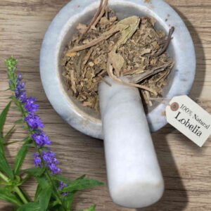 Lobelia dried herb in a mortar and pestle with Lobelia inflata plant background - The Herb Peddler
