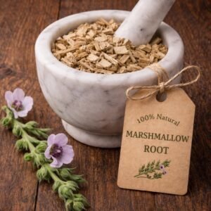Marshmallow root in a mortar and pestle with Althaea officinalis plant background - The Herb Peddler