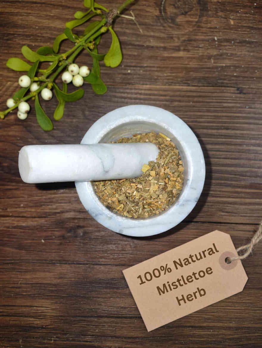 Mistletoe dried herb in a mortar and pestle with Viscum album plant background - The Herb Peddler