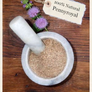 Pennyroyal dried herb in a mortar and pestle with Mentha pulegium plant background - The Herb Peddler