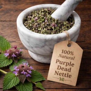 Purple Dead Nettle dried herb in a mortar and pestle with Lamium purpureum plant background - The Herb Peddler