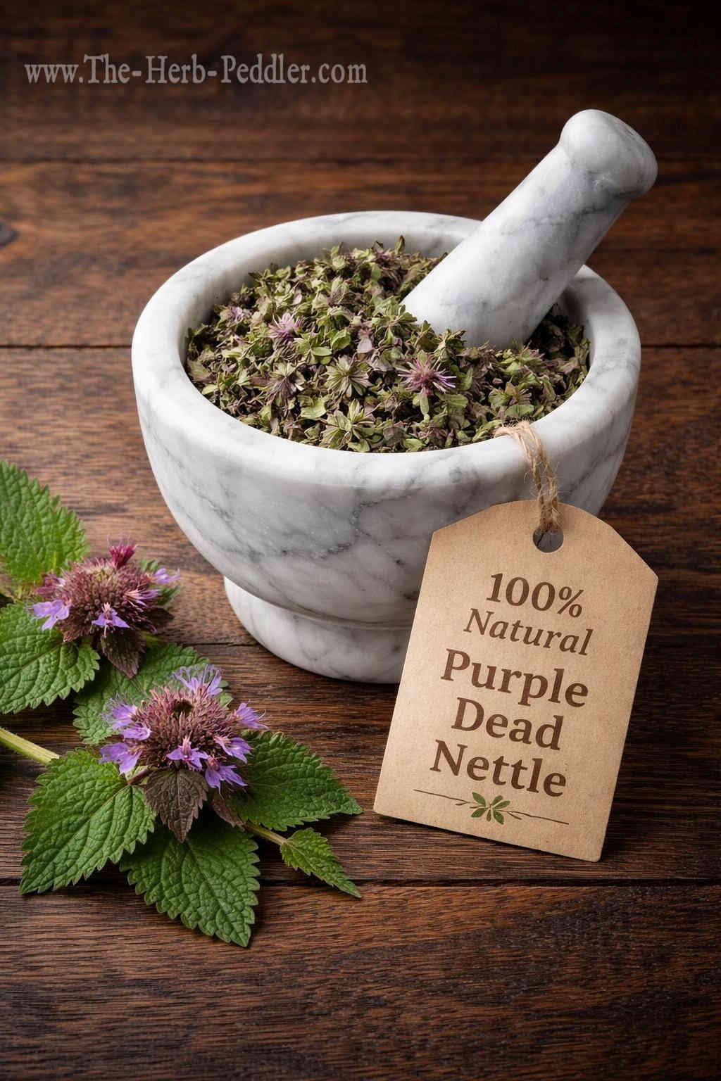 Purple Dead Nettle dried herb in a mortar and pestle with Lamium purpureum plant background - The Herb Peddler