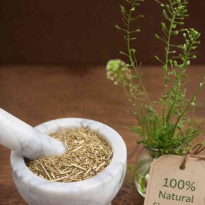 Shepherd's Purse dried herb in a mortar and pestle with Capsella bursa-pastoris plant background - The Herb Peddler