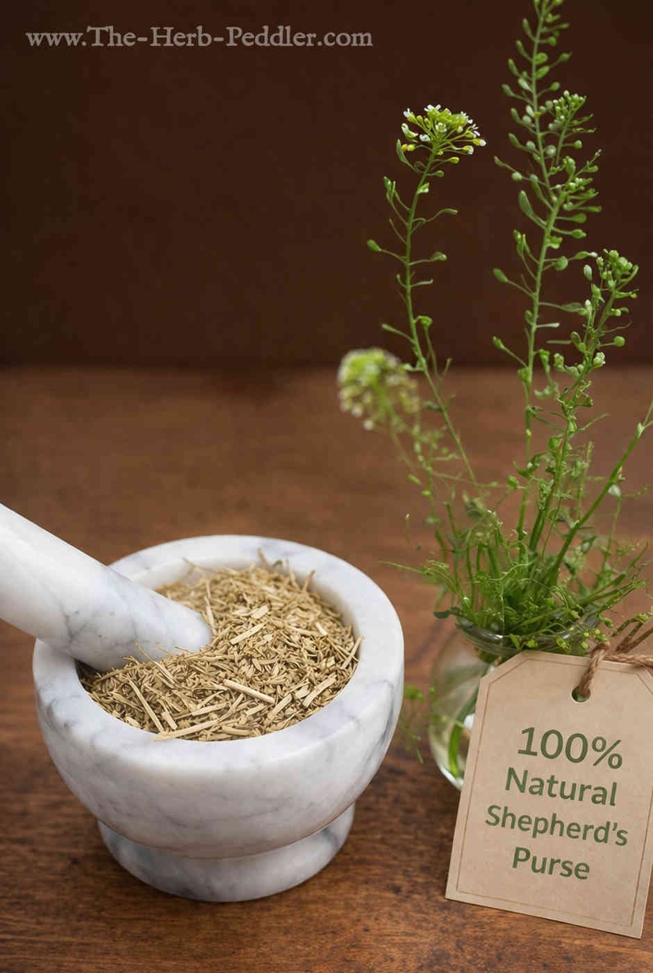 Shepherd's Purse dried herb in a mortar and pestle with Capsella bursa-pastoris plant background - The Herb Peddler