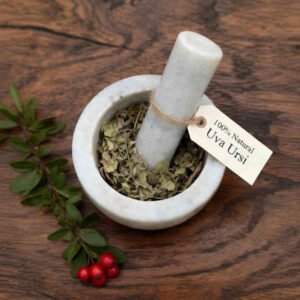 Uva Ursi leaves dried herb in a mortar and pestle with Arctostaphylos uva-ursi plant background - The Herb Peddler