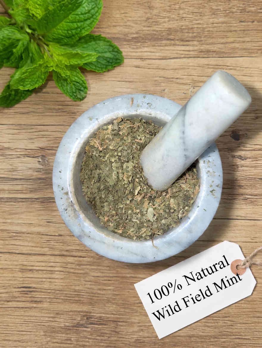 Wild Field Mint dried herb in a mortar and pestle with Mentha arvensis plant background - The Herb Peddler