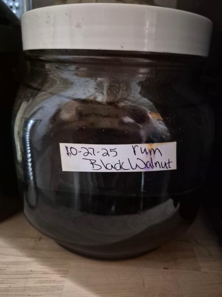 Black Walnut hulls tincture in a large jar made with Juglans nigra harvested from Horse-n-Bear Ranch in the Appalachian Mountains of Virginia - The Herb Peddler