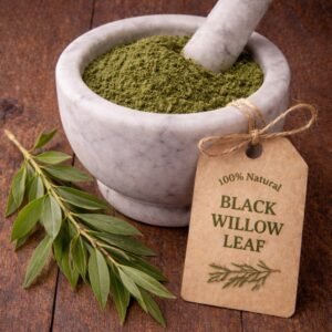 Black Willow leaf in a mortar and pestle with Salix nigra tree background - harvested from our farm in Virginia - The Herb Peddler
