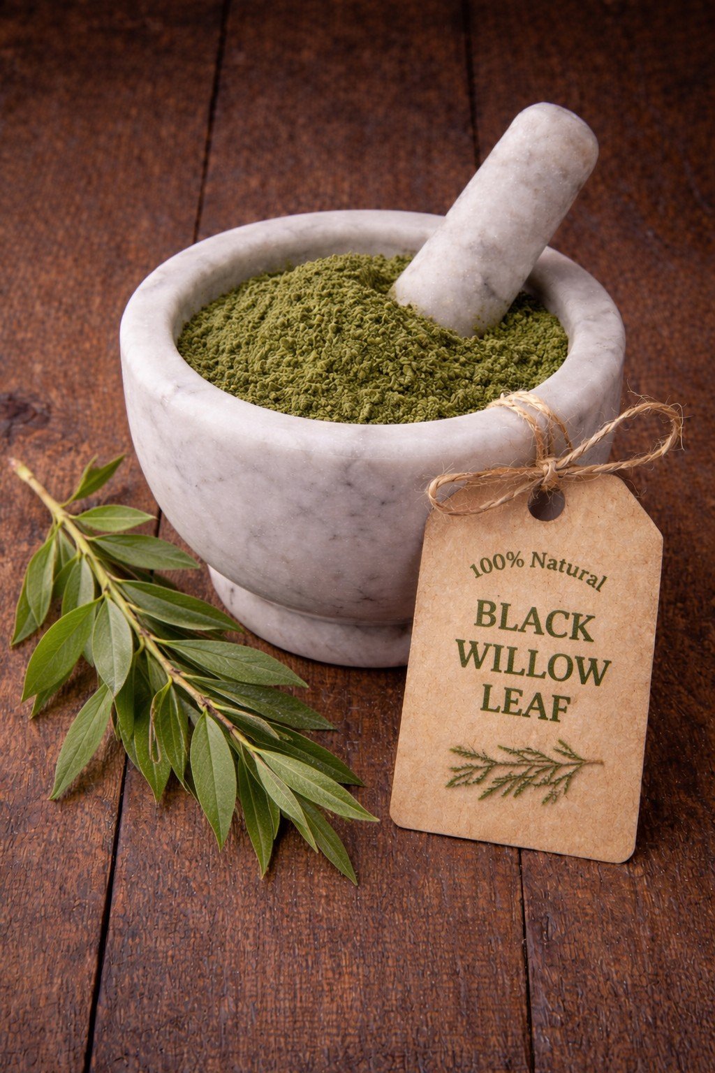 Black Willow leaf in a mortar and pestle with Salix nigra tree background - harvested from our farm in Virginia - The Herb Peddler