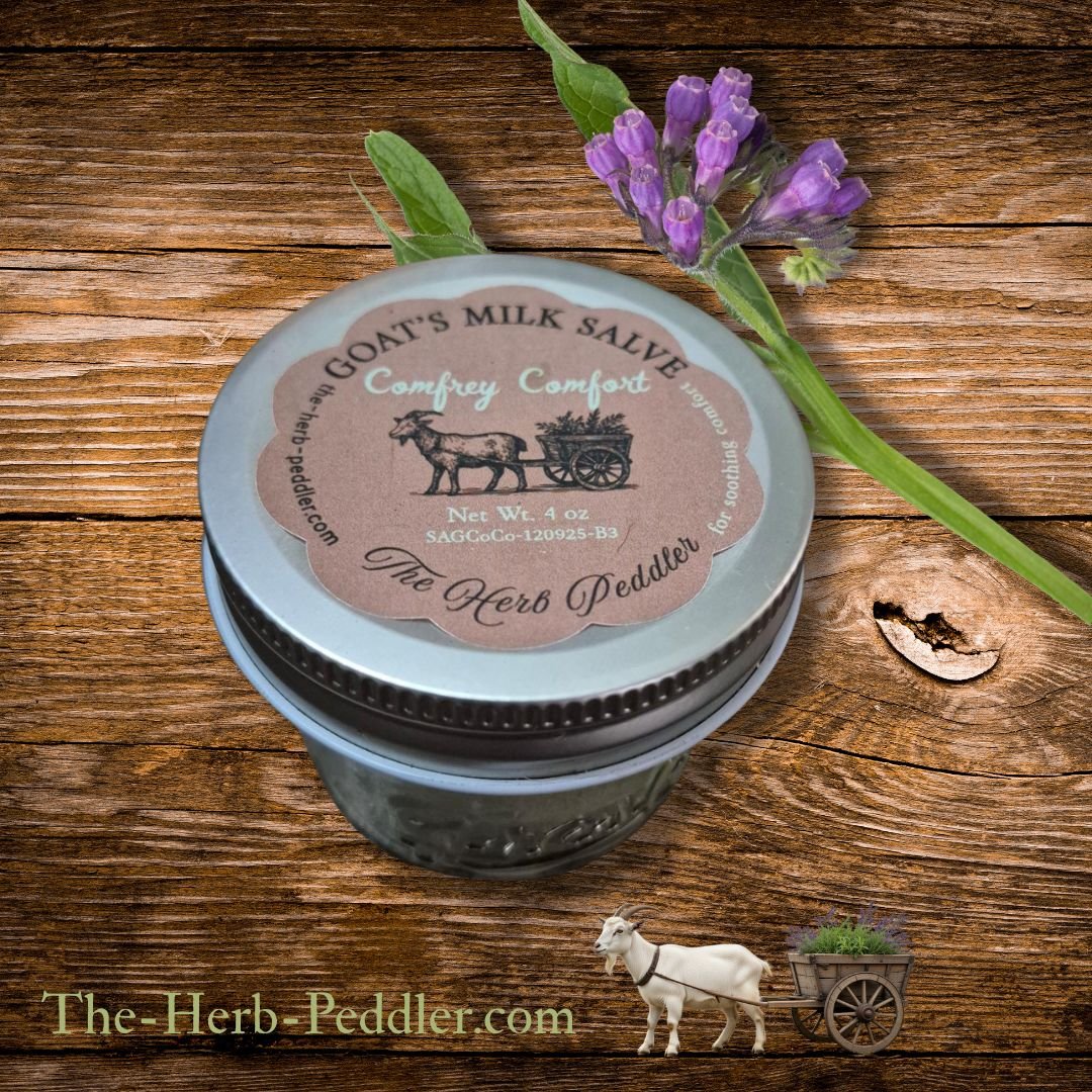 Comfrey Comfort salve in a jar with fresh comfrey leaves and goat milk background - The Herb Peddler
