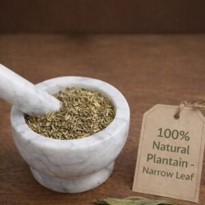 Narrow Leaf Plantain dried herb in a mortar and pestle with Plantago lanceolata plant background - The Herb Peddler
