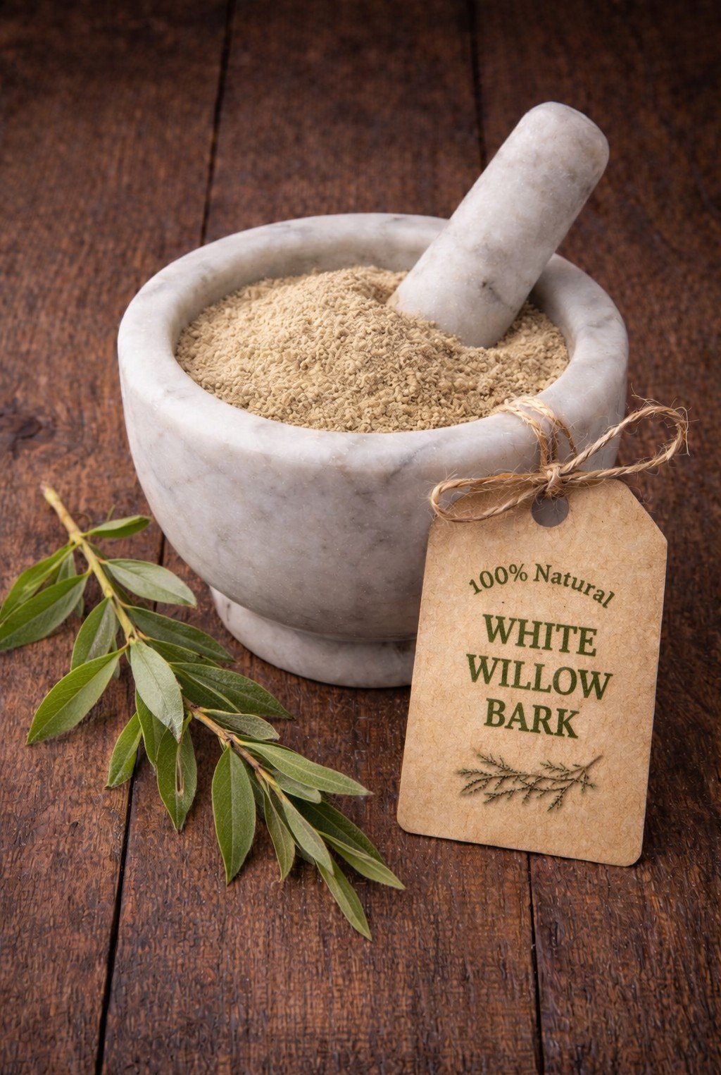 White Willow bark in a mortar and pestle with Salix alba plant background - The Herb Peddler